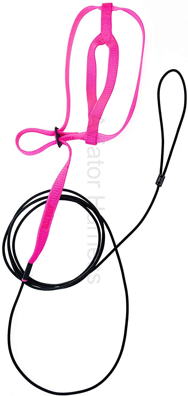 Aviator - Pettorina per Pappagalli - Small - Rosa Aviator - Pettorina per Pappagalli - Small - Rosa